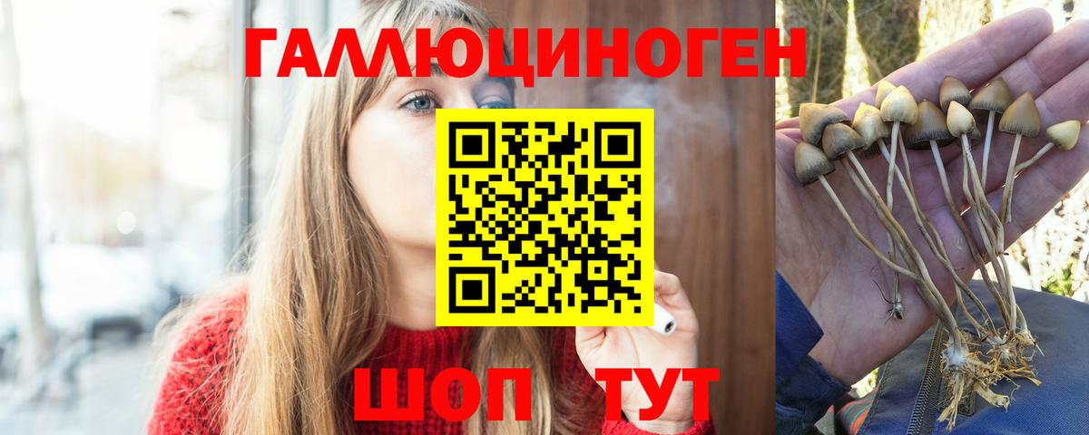 КОКАИН  Вход с VPN  Марихуана  Alpha-PVP СК   Гашиш  Артём  Меф кристаллы  Метамфетамин 
