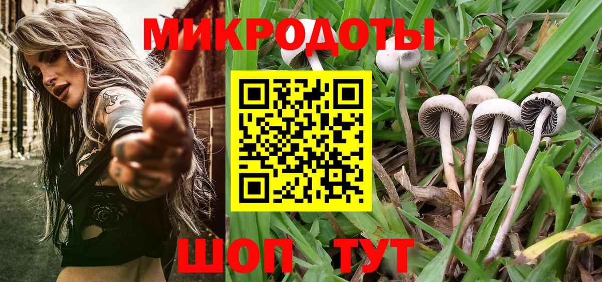 Артём  Галлюциногенные грибы Magic Shrooms  Псилоцибиновые грибы Psilocybine cubensis  где продают наркотики  Вход с VPN 